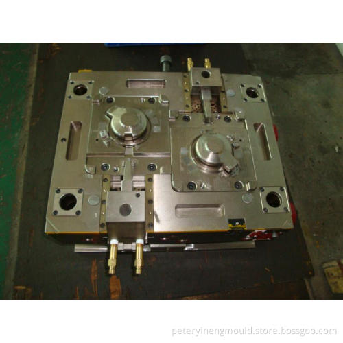 mold